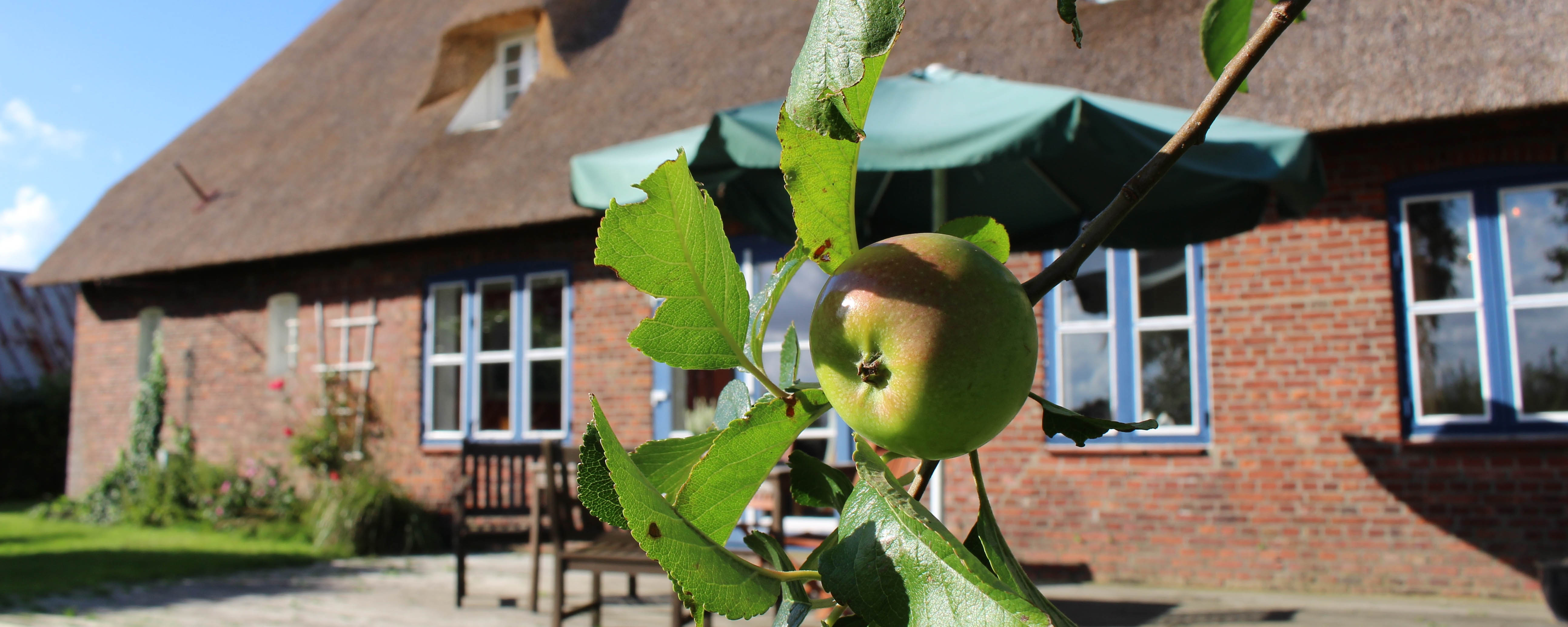 Nordseeurlaub im Friesenhaus